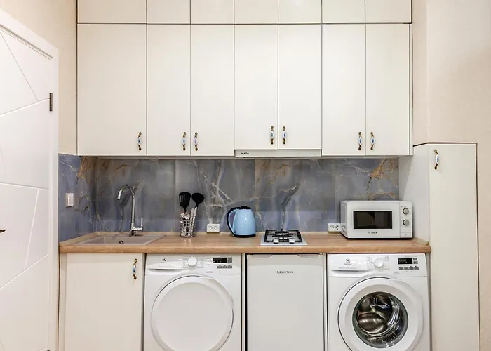 Luxury Flat Near Opera 2 Lviv